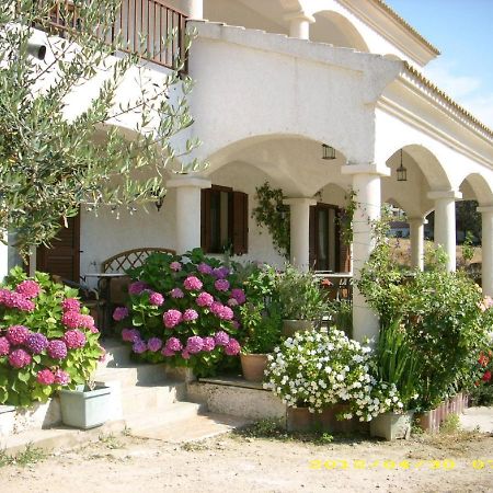 Hotel U Filipaghju Galéria Exterior foto